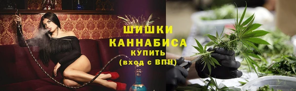 крисы Осташков