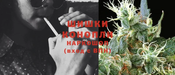 крисы Осташков