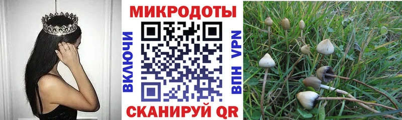 Галлюциногенные грибы прущие грибы Щёкино